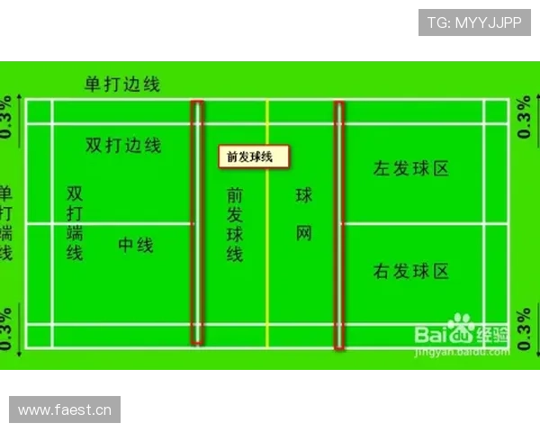 空手道比赛规则详解与运动员比赛策略的全面剖析