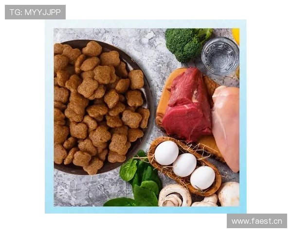 羽毛球运动员饮食安排指南提升体能与运动表现的科学饮食策略 羽毛球运动员饮食安排指南提升体能与运动表现的科学饮食策略