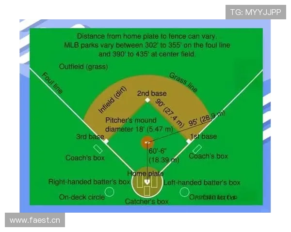 全面掌握棒球观赛技巧从规则解读到战术分析的新手必读观赛指南技